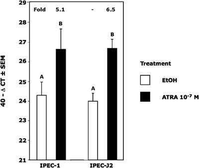 Potentiation of IL-4 Signaling by Retinoic Acid in Intestinal Epithelial Cells and Macrophages—Mechanisms and Targets